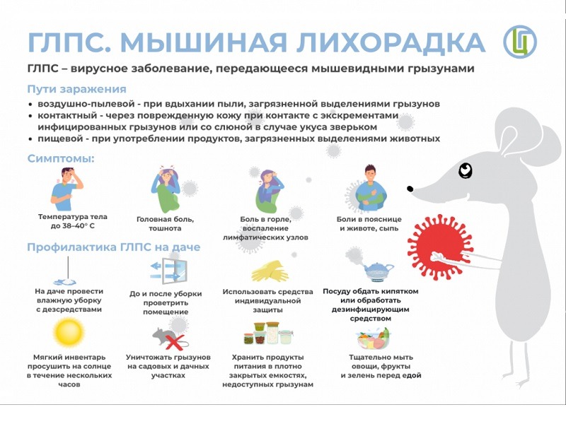 Профилактика геморрагической лихорадки с почечным синдромом в осенне-зимний период.